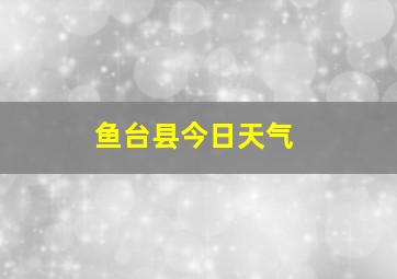 鱼台县今日天气