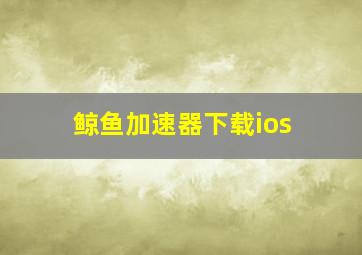 鲸鱼加速器下载ios