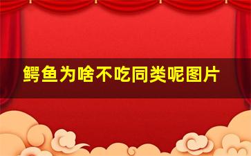 鳄鱼为啥不吃同类呢图片