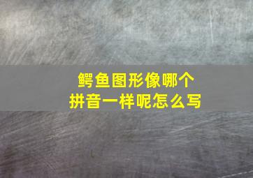 鳄鱼图形像哪个拼音一样呢怎么写