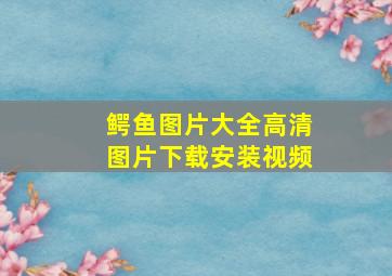 鳄鱼图片大全高清图片下载安装视频