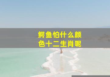 鳄鱼怕什么颜色十二生肖呢