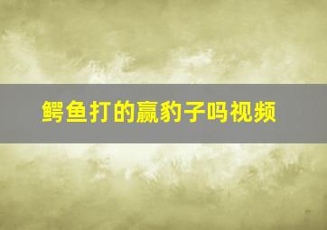 鳄鱼打的赢豹子吗视频