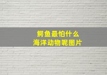 鳄鱼最怕什么海洋动物呢图片