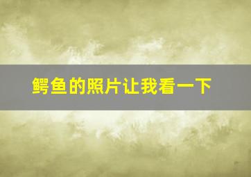 鳄鱼的照片让我看一下