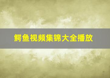 鳄鱼视频集锦大全播放