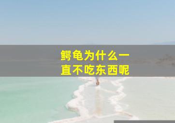 鳄龟为什么一直不吃东西呢