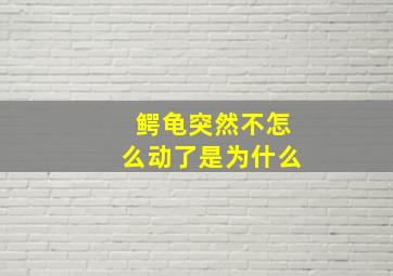 鳄龟突然不怎么动了是为什么