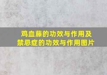 鸡血藤的功效与作用及禁忌症的功效与作用图片