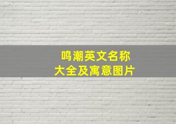 鸣潮英文名称大全及寓意图片