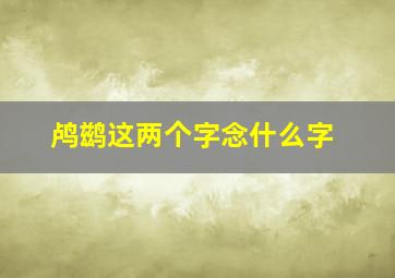 鸬鹚这两个字念什么字