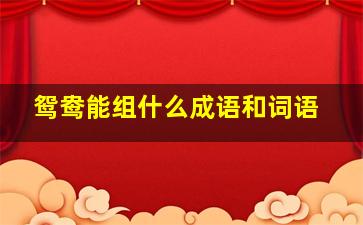 鸳鸯能组什么成语和词语