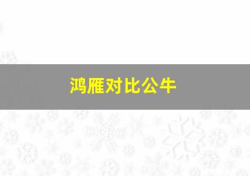 鸿雁对比公牛