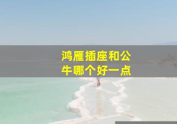 鸿雁插座和公牛哪个好一点