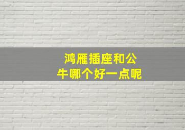 鸿雁插座和公牛哪个好一点呢