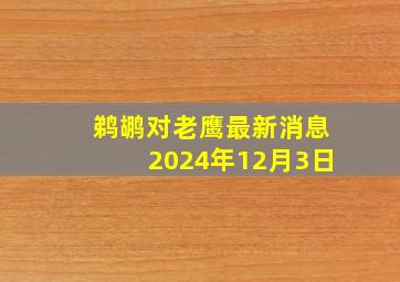 鹈鹕对老鹰最新消息2024年12月3日