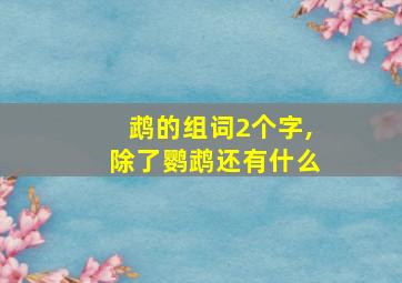 鹉的组词2个字,除了鹦鹉还有什么