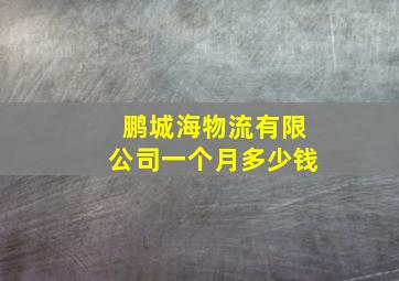 鹏城海物流有限公司一个月多少钱