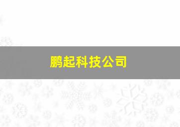 鹏起科技公司