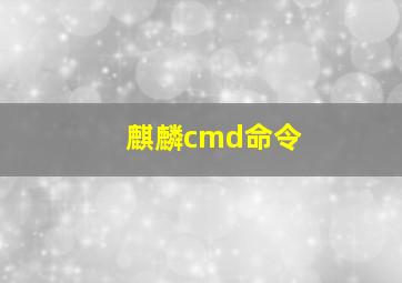 麒麟cmd命令