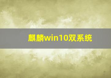 麒麟win10双系统