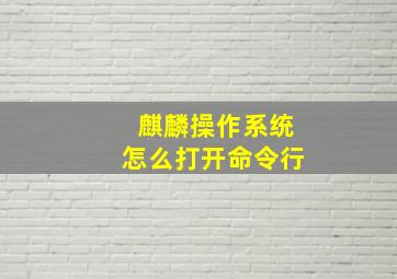 麒麟操作系统怎么打开命令行