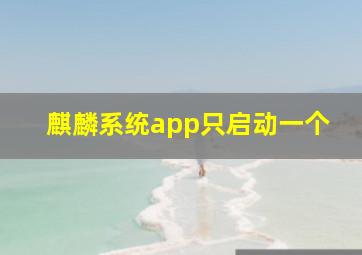 麒麟系统app只启动一个