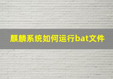 麒麟系统如何运行bat文件