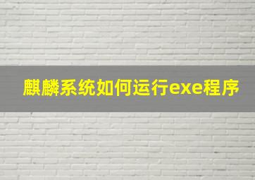 麒麟系统如何运行exe程序