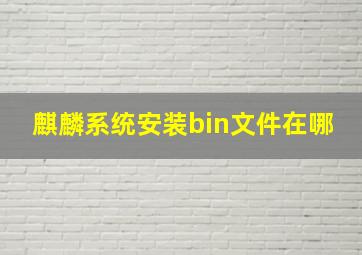 麒麟系统安装bin文件在哪