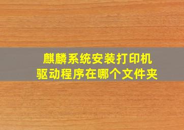 麒麟系统安装打印机驱动程序在哪个文件夹