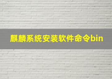 麒麟系统安装软件命令bin