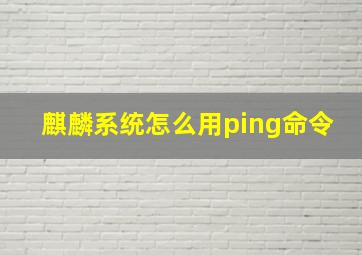 麒麟系统怎么用ping命令