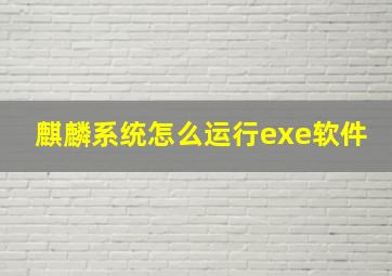 麒麟系统怎么运行exe软件