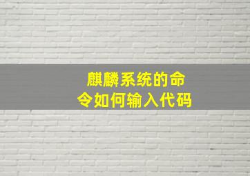 麒麟系统的命令如何输入代码