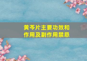 黄芩片主要功效和作用及副作用禁忌