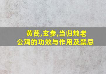 黄芪,玄参,当归炖老公鸡的功效与作用及禁忌