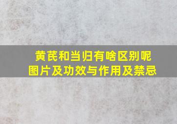 黄芪和当归有啥区别呢图片及功效与作用及禁忌