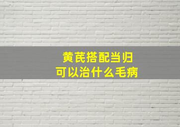 黄芪搭配当归可以治什么毛病