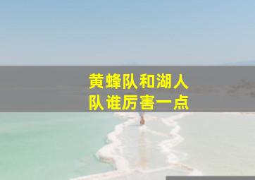 黄蜂队和湖人队谁厉害一点