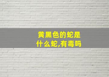 黄黑色的蛇是什么蛇,有毒吗