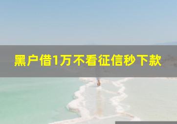 黑户借1万不看征信秒下款