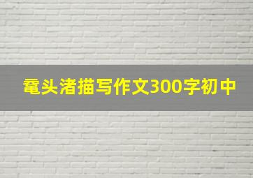 鼋头渚描写作文300字初中