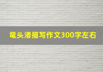 鼋头渚描写作文300字左右