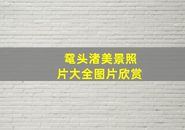 鼋头渚美景照片大全图片欣赏