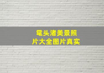 鼋头渚美景照片大全图片真实