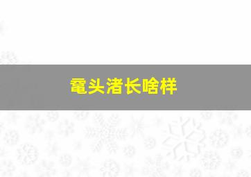 鼋头渚长啥样