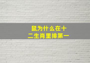 鼠为什么在十二生肖里排第一