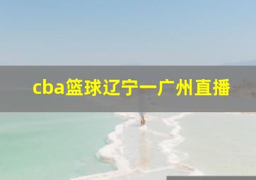 cba篮球辽宁一广州直播