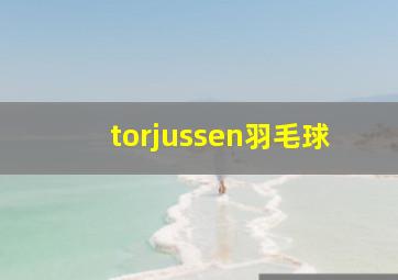 torjussen羽毛球